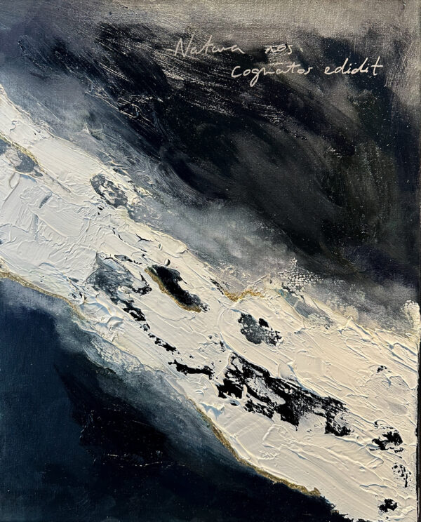 Natura Nos Cognatos Edidit (Cartographies of Connection)