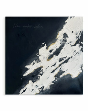 Not For Ourselves Alone Print